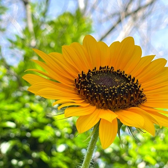 Meet your Posher, Gabby - Picture 1 of 1